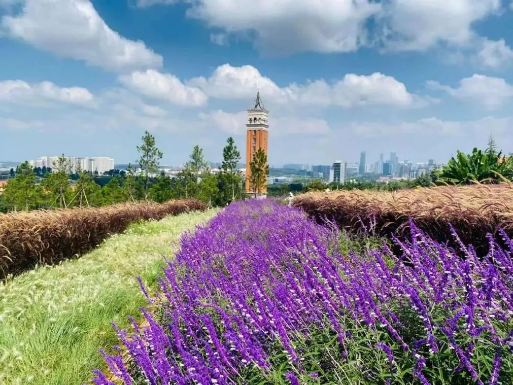 0c5b54f0f53644e0bbfd2020fea52b36.jpg 0c5b54f0f53644e0bbfd2020fea52b36.jpg